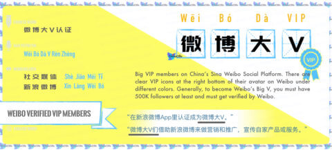 Translation of China Weibo Buzzword: <br />微博大 V (wēi bó dà V) <br />| Free Chinese Word Card Study with Pinyin