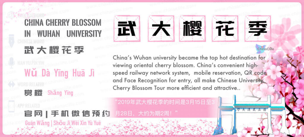 Say Wuhan University's Cherry Blossom in Chinese, Wuhan University Cherry Blossom, China Cherry Blossom Tour, Chinese Cherry Blossom, Wu Da Ying Hua ji, Wuhan University's Oriental Cherry Blossom