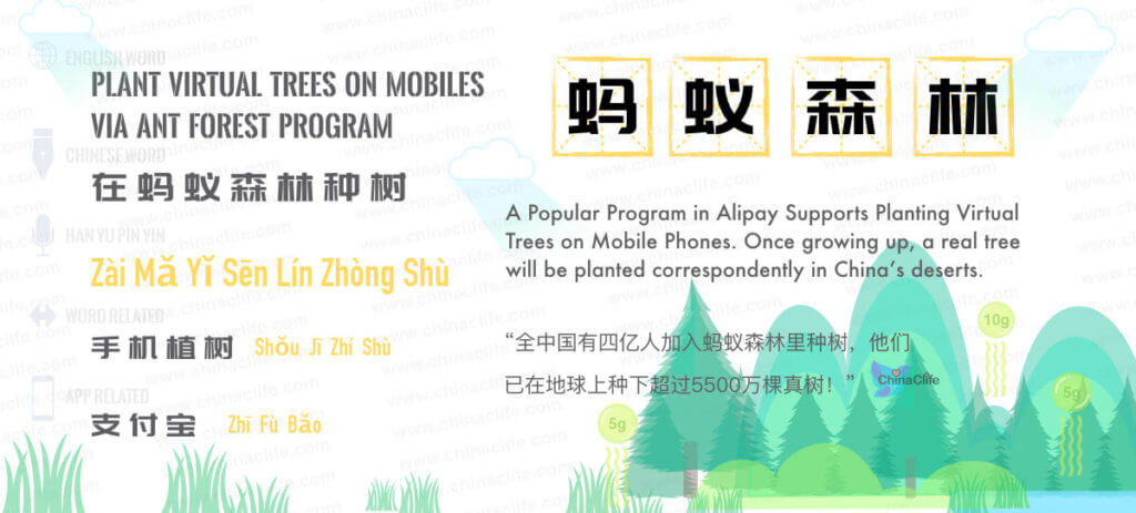 Say Ant Forest in Chinese, Ma Yi Sen Lin, Free Chinese Word Card Study
