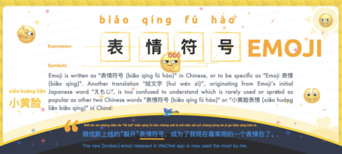 Say Emoji in Chinese <br />表情符号 (biǎo qíng fú hào) <br />| Free Chinese Word Card Study with Pinyin